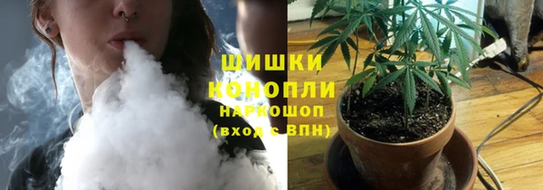 соль ск Аркадак