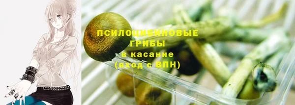 прущая мука Арсеньев