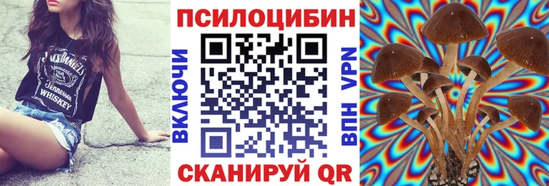 Псилоцибиновые грибы Magic Shrooms  цена наркотик  Гагарин 